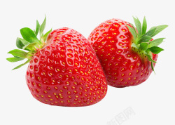 摄影红色新鲜的草莓素材