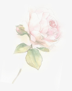 高档感恩展板手绘玫瑰感恩母亲节展板高清图片