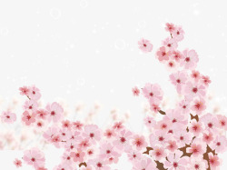 踏雪手绘粉色梅花樱花高清图片
