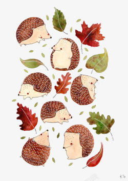 秋天刺猬小刺猬高清图片