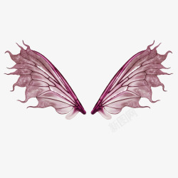 紫色蝴蝶翅膀素材
