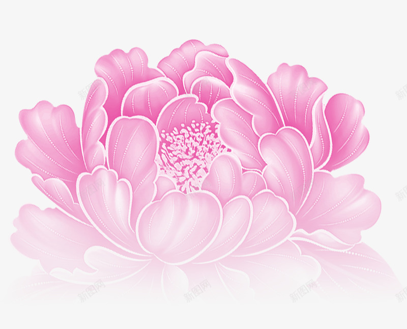 粉色清新牡丹花装饰图案png免抠素材_新图网 https://ixintu.com 免抠PNG 清新 牡丹花 粉色 装饰图案