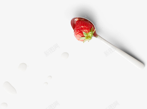 夏日甜品草莓摄影png免抠素材_新图网 https://ixintu.com 夏日 摄影 甜品 草莓
