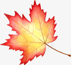 秋季卡片秋叶红色枫叶背景矢量图高清图片