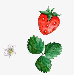 草莓和叶子素材
