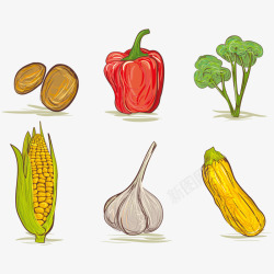 玉米蔬菜素材