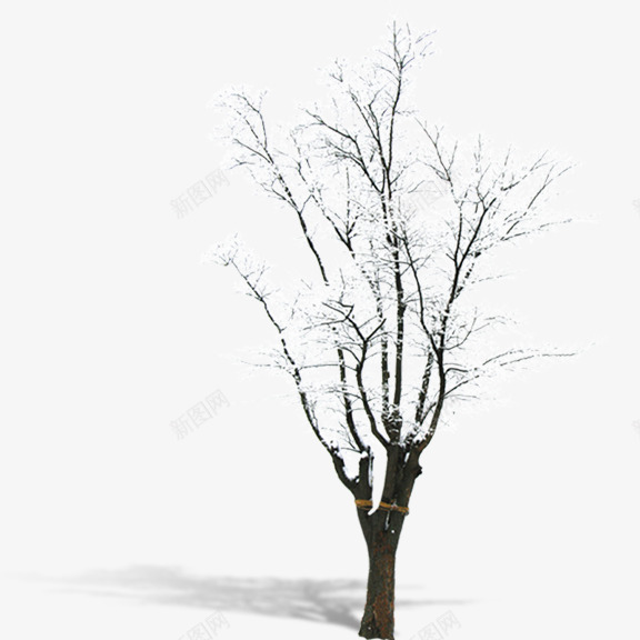 雪中枯树png免抠素材_新图网 https://ixintu.com 冬季 大雪 枯树