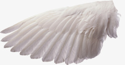 一个羽毛PNG卡通手绘一个翅膀高清图片