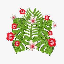 彩色夏威夷热带花卉树叶矢量图素材