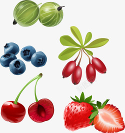水果合计手绘水果合集高清图片