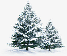 冬日雪山大树美景素材