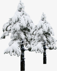 冬季冰雪大树景观素材