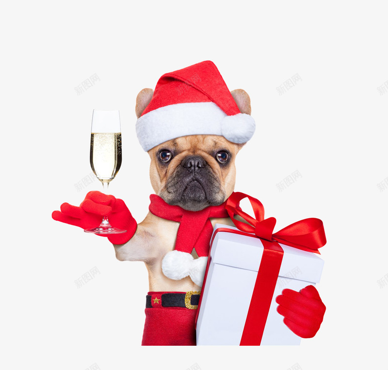 圣诞节png免抠素材_新图网 https://ixintu.com 动物 单身汪 单身狗 可能动物装饰图 圣诞节 情人节 狗 礼物