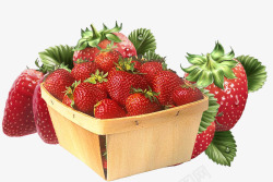 一箱草莓素材