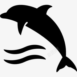 海洋哺乳动物海豚在水浪图标高清图片