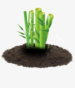 清新的土黑色土壤绿色竹子高清图片