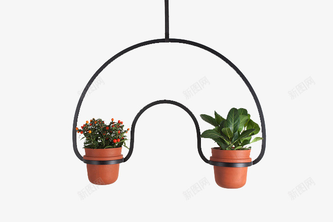 挂着的盆栽png免抠素材_新图网 https://ixintu.com 室内装饰 挂饰 盆栽 绿色植物