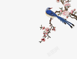 树枝上的小鸟古风梅花树枝上的小鸟高清图片
