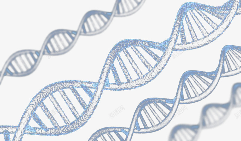 DNA螺旋科技背景png免抠素材_新图网 https://ixintu.com DNA分子 DNA双螺旋结构图片 DNA结构图 DNA背景 DNA螺旋科技背景 交织DNA分子结构图 医疗保健 图片DNA 科学分子 科技背景