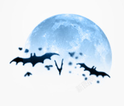 蓝色背景下的光斑图片蓝色月亮下的蝙蝠高清图片