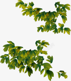 手绘绿色牡丹叶子插图素材