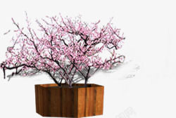 粉色花朵树枝盆栽装饰素材