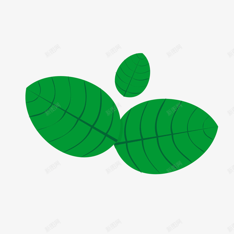 绿色薄荷叶植物png免抠素材_新图网 https://ixintu.com 卡通植物 绿色植物 绿色薄荷叶 背景装饰