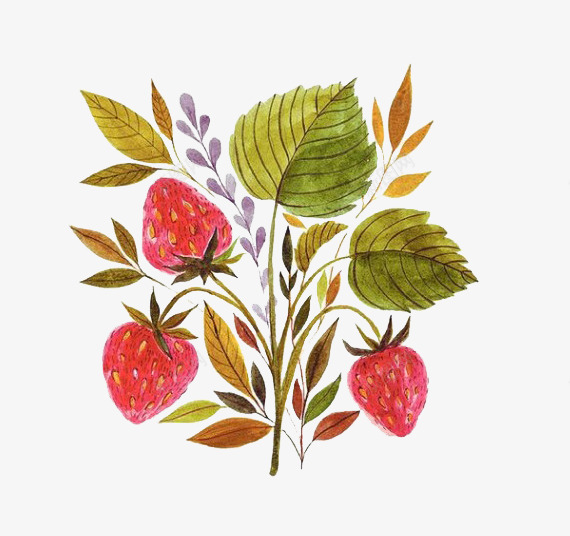 草莓与叶子png免抠素材_新图网 https://ixintu.com 卡通 叶子 手绘 水果 简图 红色的 绿色的 草莓