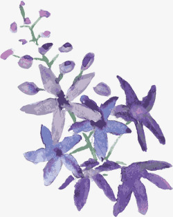 手绘紫色花卉卡片背景素材