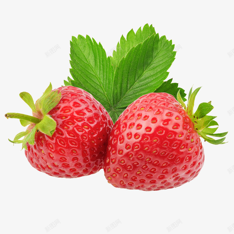热卖草莓水果多种新鲜草莓png免抠素材_新图网 https://ixintu.com 多种 多种新鲜草莓 新鲜 水果 热卖 甘甜 草莓 草莓水果新鲜可口 食物