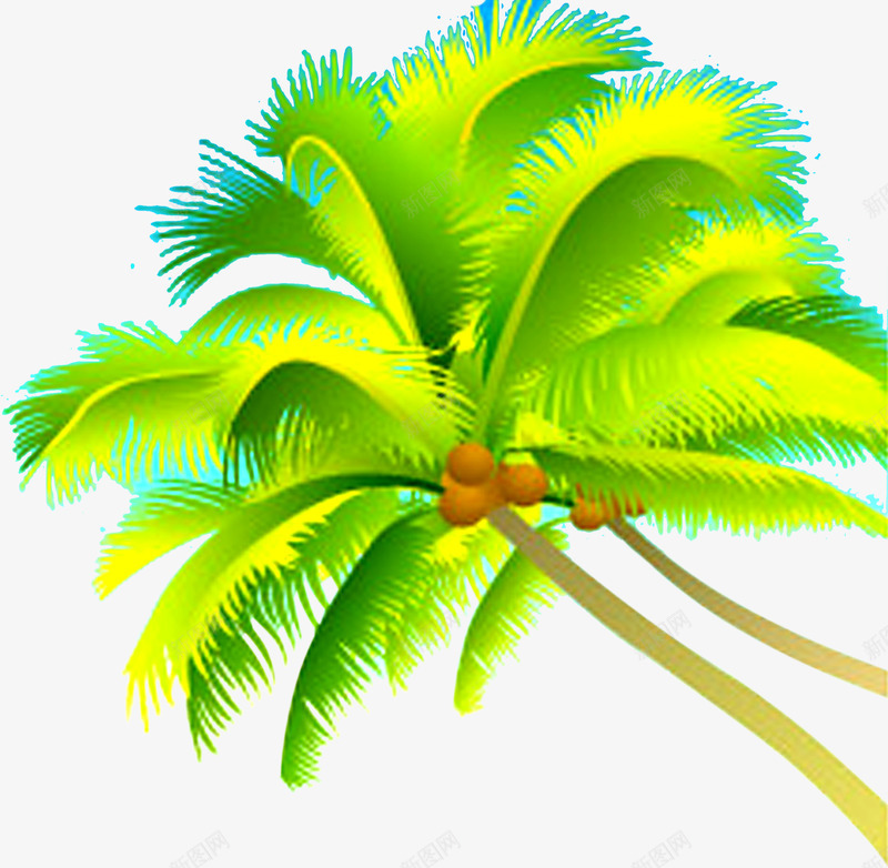 插画植物夏日清凉椰子树png免抠素材_新图网 https://ixintu.com 夏日 插画 植物 椰子树 清凉