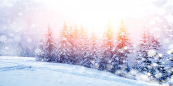 冬季阳光冬季雪花阳光风景高清图片