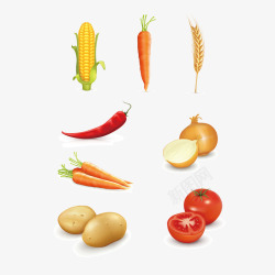 粮食和蔬菜矢量图素材
