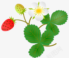 红红的草莓png免抠素材_新图网 https://ixintu.com 红色 草莓 草莓花