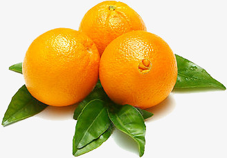 三个新鲜橙子png免抠素材_新图网 https://ixintu.com 新鲜 橙子