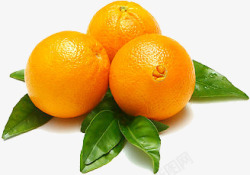 三个新鲜橙子素材