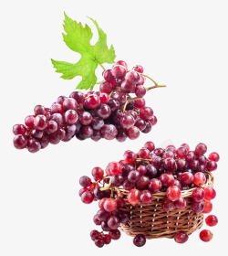 夏季水果葡萄素材