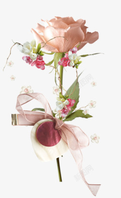 一枝淡粉色玫瑰花素材