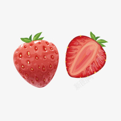写实草莓矢量图素材