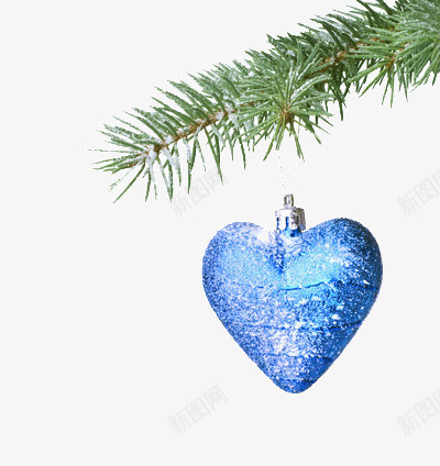 圣诞节的装饰品png免抠素材_新图网 https://ixintu.com 杉树 节日 蓝色的心