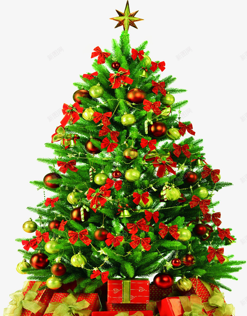 手绘圣诞节植物红色礼物png免抠素材_新图网 https://ixintu.com 圣诞节 植物 礼物 红色