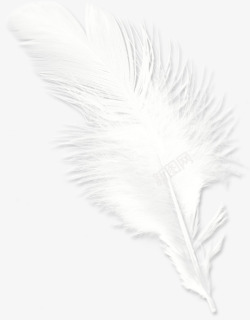 白色手绘唯美羽毛素材