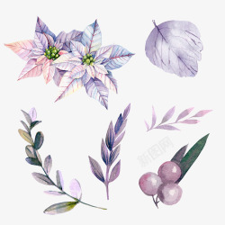 手绘紫色植物装饰素材