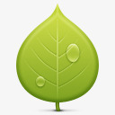绿色的树叶icon图标图标