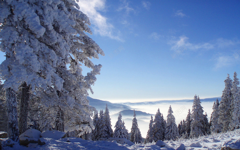 冬季蓝天白云树林雪地png免抠素材_新图网 https://ixintu.com 冬季 树林 白云 蓝天 雪地