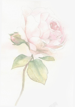 母亲节海报设计手绘玫瑰感恩母亲节海报高清图片