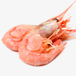 熟冻即食高档海鲜刺身牡丹虾高清图片