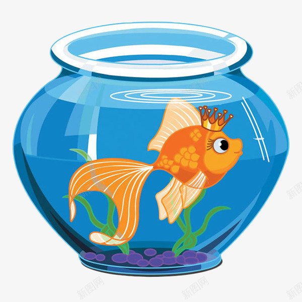 养在鱼缸里的金鱼公主png免抠素材_新图网 https://ixintu.com 卡通画 宠物鱼 玻璃鱼缸 皇冠 蓝色 金鱼
