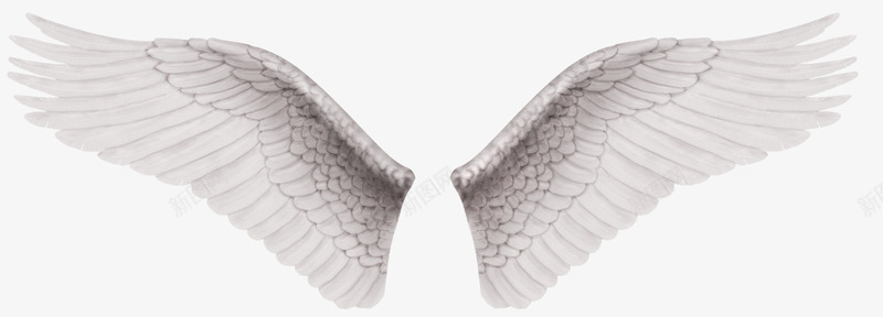 白色对称翅膀png免抠素材_新图网 https://ixintu.com PNG素材 对称 白色 纹理 羽毛 翅膀