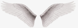 对称羽毛白色对称翅膀高清图片